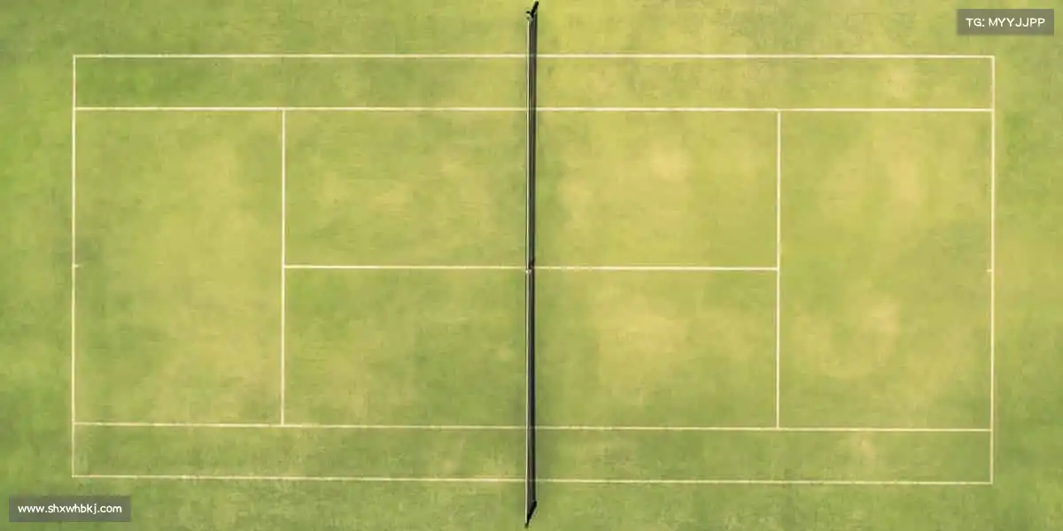 星空电竞🏓小球转动大梦想，汗水铸就新辉煌 —— 每一次挥拍都是热爱的回响！